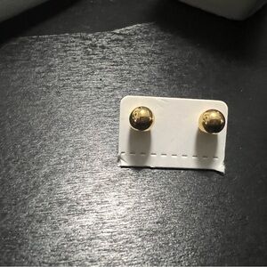 STAINLESS women's nickel steel earrings beautiful